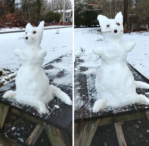 SnowKitty